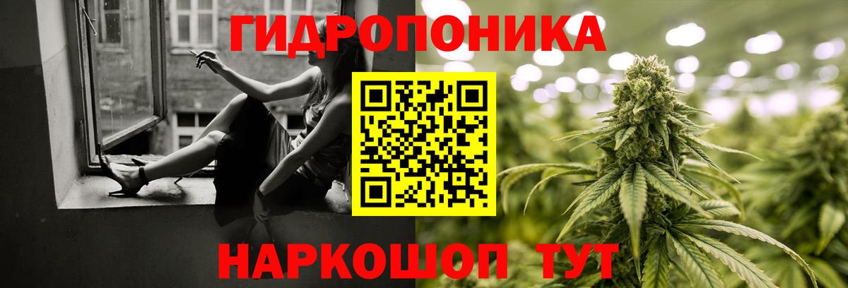 Шишки марихуана OG Kush  Каннабис Ganja  Вход с VPN  Выборг  Бошки Шишки Amnesia 
